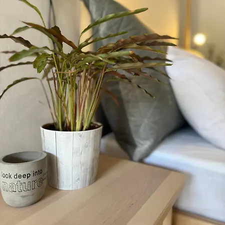 公寓式酒店 Elena's Perivólion