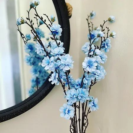 Aparthotel Elena's 3*