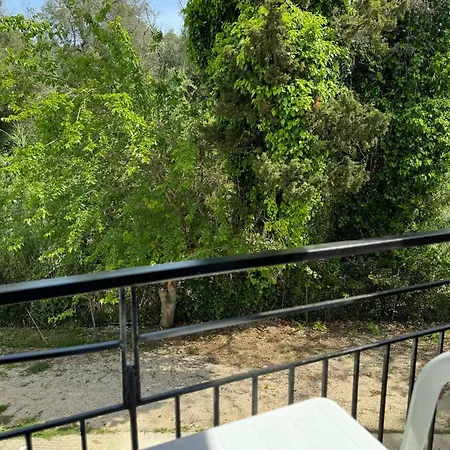 Elena's Perivólion